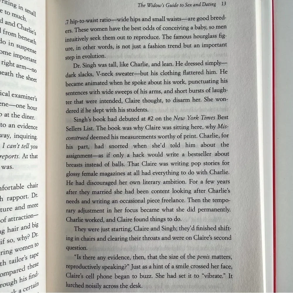 BOOK, The Widow’s Guide to Sex & Dating, a novel, 302 pages, Fiction, NOS - Picture 12 of 16